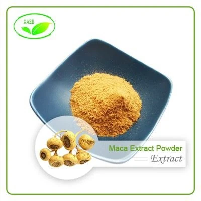 Maca Extract Powder